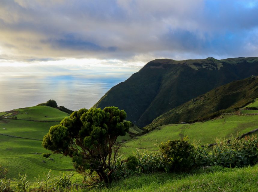 Ilha São Jorge Açores