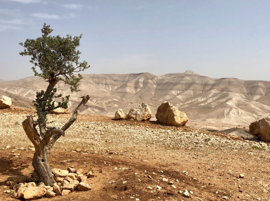 Palestina, cidades e locais sagrados um roteiro a não perder